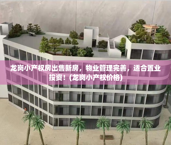 龙岗小产权房出售新房，物业管理完善，适合置业投资！(龙岗小产权价格)