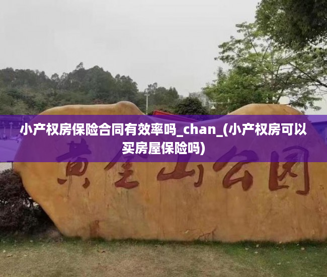 小产权房保险合同有效率吗_chan_(小产权房可以买房屋保险吗)