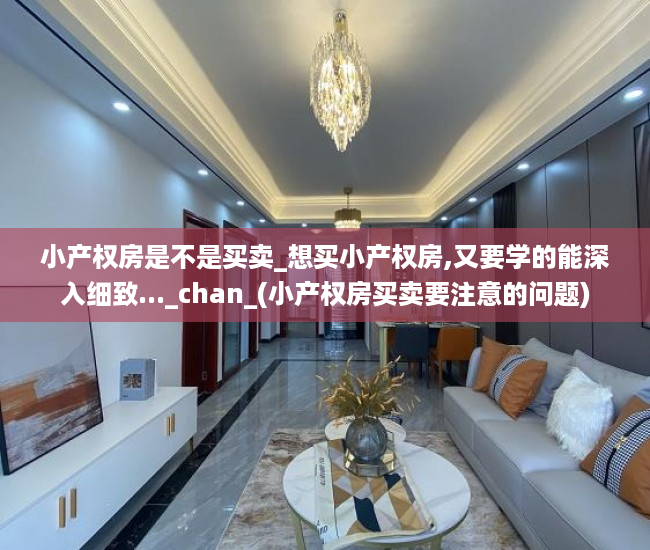 小产权房是不是买卖_想买小产权房,又要学的能深入细致..._chan_(小产权房买卖要注意的问题)