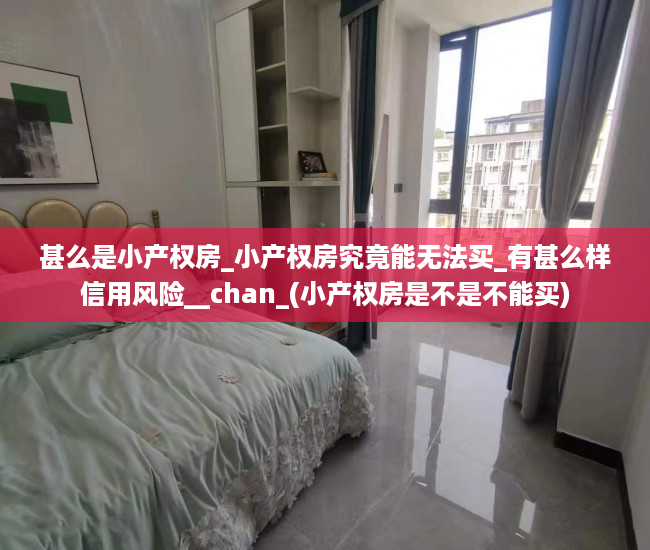 甚么是小产权房_小产权房究竟能无法买_有甚么样信用风险__chan_(小产权房是不是不能买)