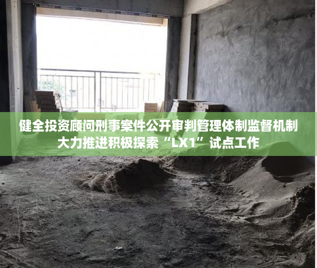 健全投资顾问刑事案件公开审判管理体制监督机制大力推进积极探索“LX1”试点工作