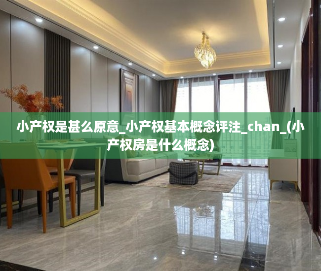 小产权是甚么原意_小产权基本概念评注_chan_(小产权房是什么概念)