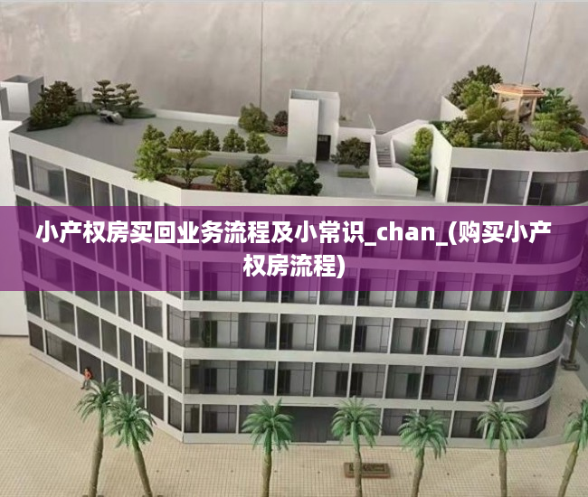 小产权房买回业务流程及小常识_chan_(购买小产权房流程)