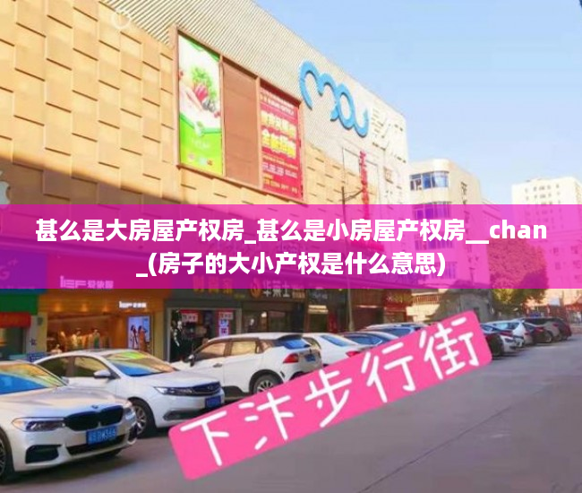 甚么是大房屋产权房_甚么是小房屋产权房__chan_(房子的大小产权是什么意思)