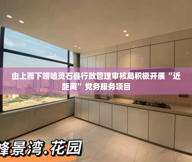 由上而下唠嗑灵石县行政管理审核局积极开展“近距离”党务服务项目