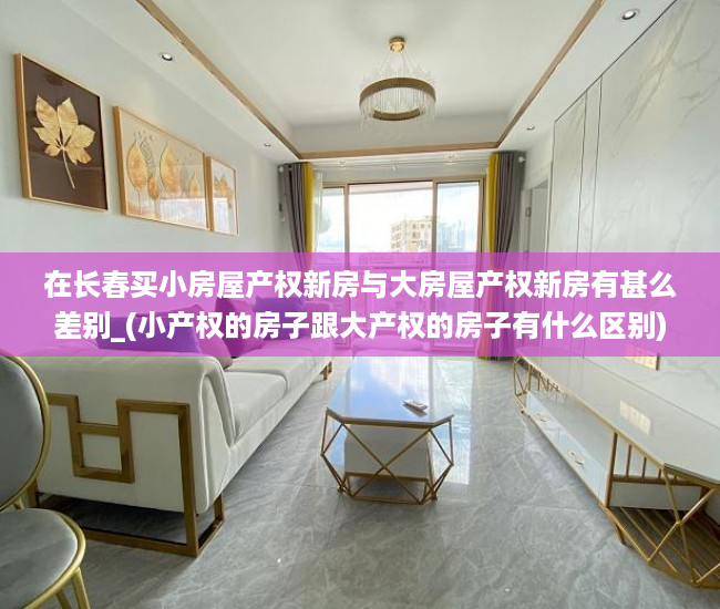 在长春买小房屋产权新房与大房屋产权新房有甚么差别_(小产权的房子跟大产权的房子有什么区别)