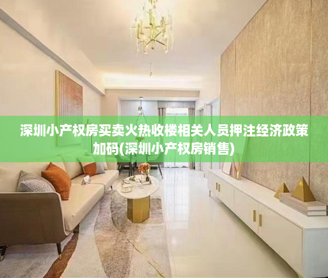 深圳小产权房买卖火热收楼相关人员押注经济政策加码(深圳小产权房销售)