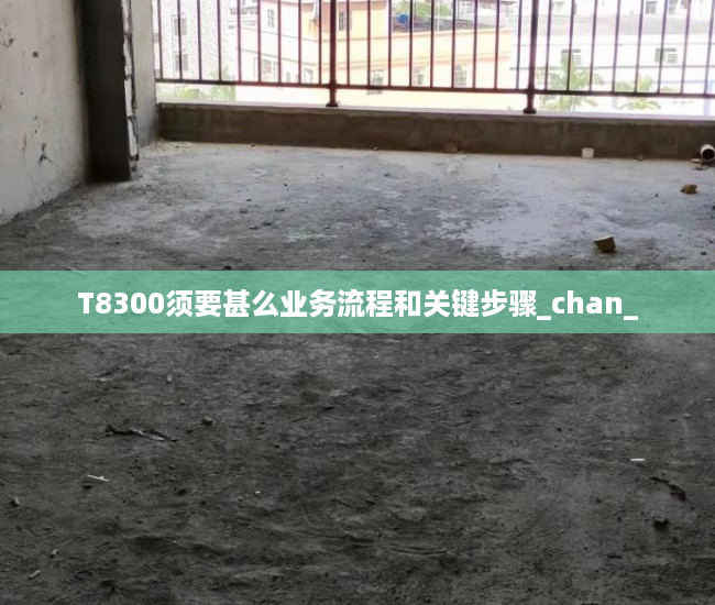 T8300须要甚么业务流程和关键步骤_chan_