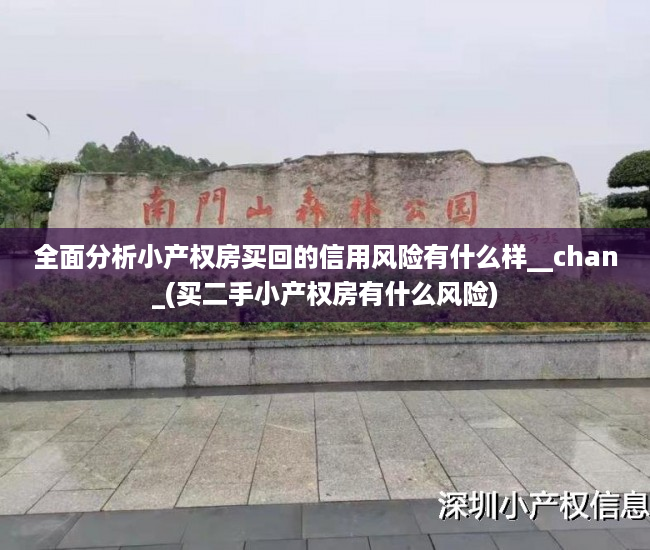 全面分析小产权房买回的信用风险有什么样__chan_(买二手小产权房有什么风险)