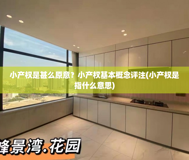 小产权是甚么原意？小产权基本概念评注(小产权是指什么意思)