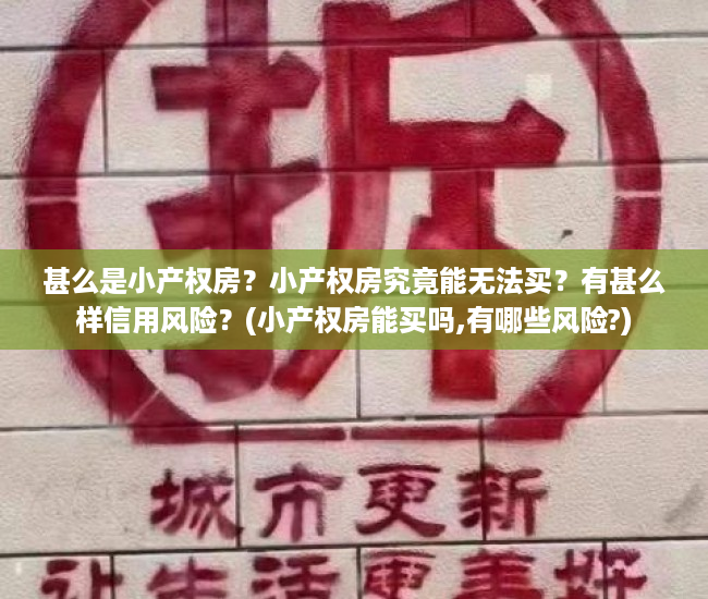 甚么是小产权房？小产权房究竟能无法买？有甚么样信用风险？(小产权房能买吗,有哪些风险?)