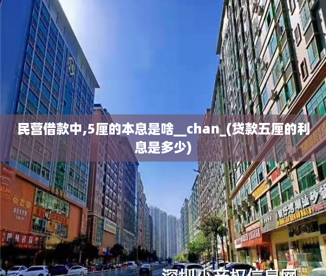 民营借款中,5厘的本息是啥__chan_(贷款五厘的利息是多少)
