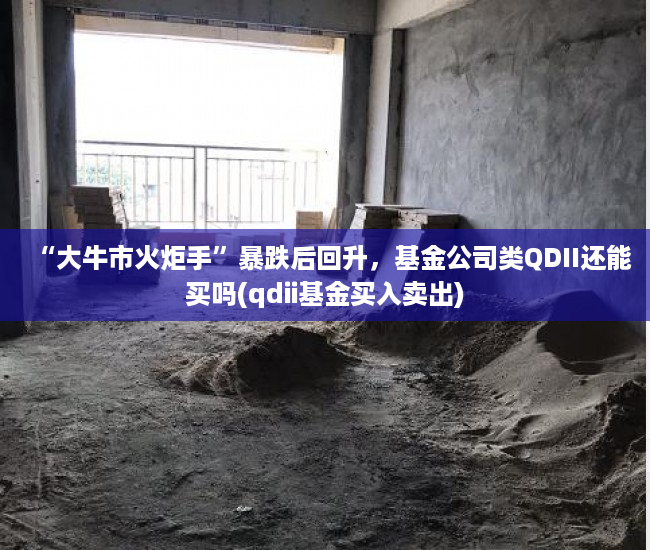 “大牛市火炬手”暴跌后回升，基金公司类QDII还能买吗(qdii基金买入卖出)