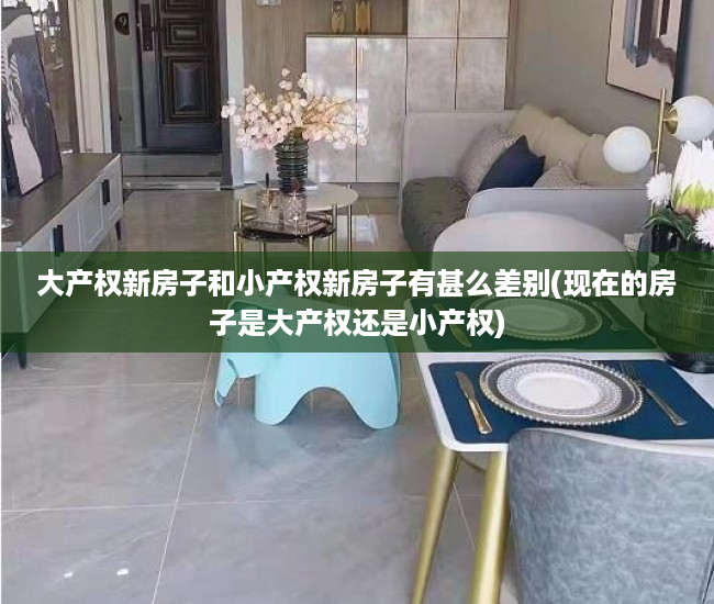 大产权新房子和小产权新房子有甚么差别(现在的房子是大产权还是小产权)