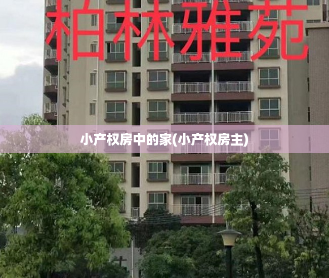 小产权房中的家(小产权房主)