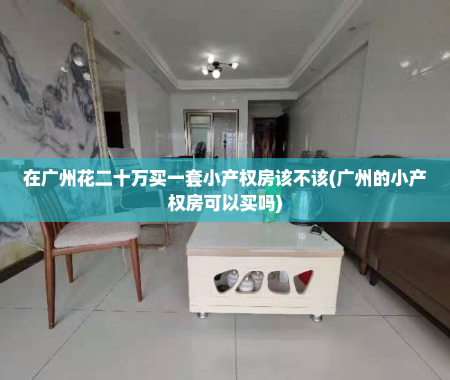 在广州花二十万买一套小产权房该不该(广州的小产权房可以买吗)