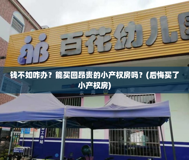 钱不如咋办？能买回昂贵的小产权房吗？(后悔买了小产权房)