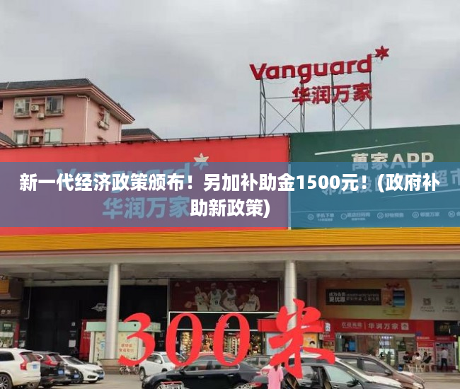 新一代经济政策颁布！另加补助金1500元！(政府补助新政策)