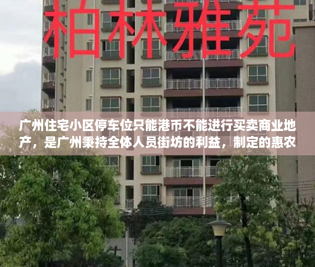 广州住宅小区停车位只能港币不能进行买卖商业地产，是广州秉持全体人员街坊的利益，制定的惠农政策