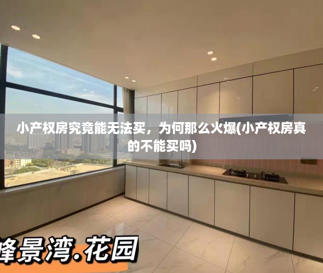 小产权房究竟能无法买，为何那么火爆(小产权房真的不能买吗)