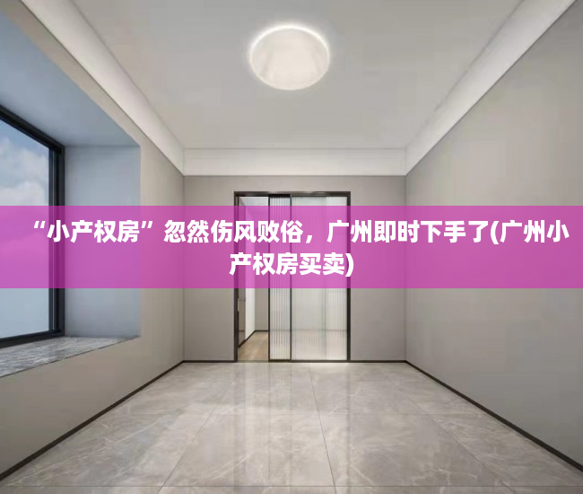“小产权房”忽然伤风败俗，广州即时下手了(广州小产权房买卖)