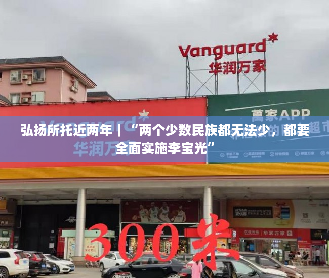 弘扬所托近两年｜“两个少数民族都无法少，都要全面实施李宝光”