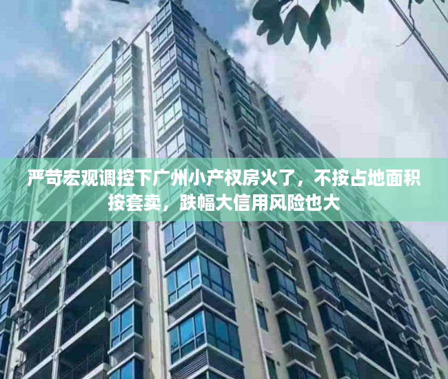 严苛宏观调控下广州小产权房火了，不按占地面积按套卖，跌幅大信用风险也大