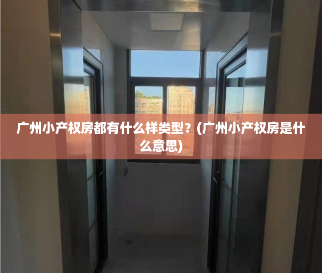 广州小产权房都有什么样类型？(广州小产权房是什么意思)