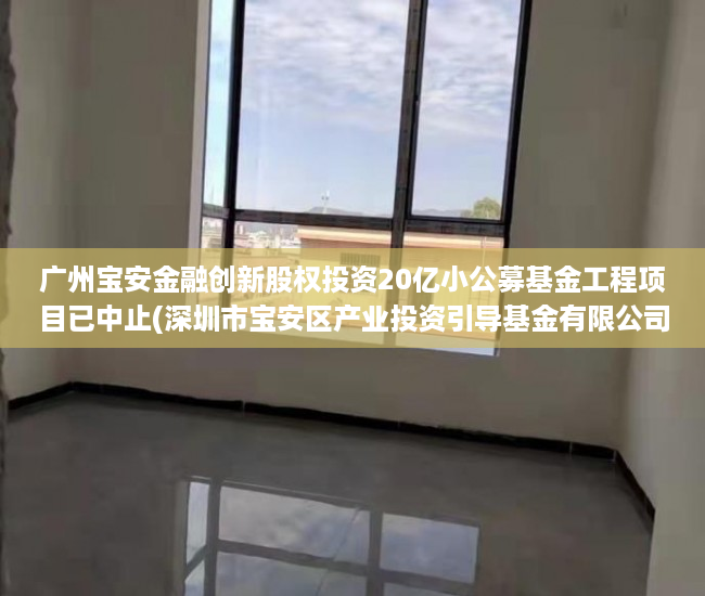 广州宝安金融创新股权投资20亿小公募基金工程项目已中止(深圳市宝安区产业投资引导基金有限公司)