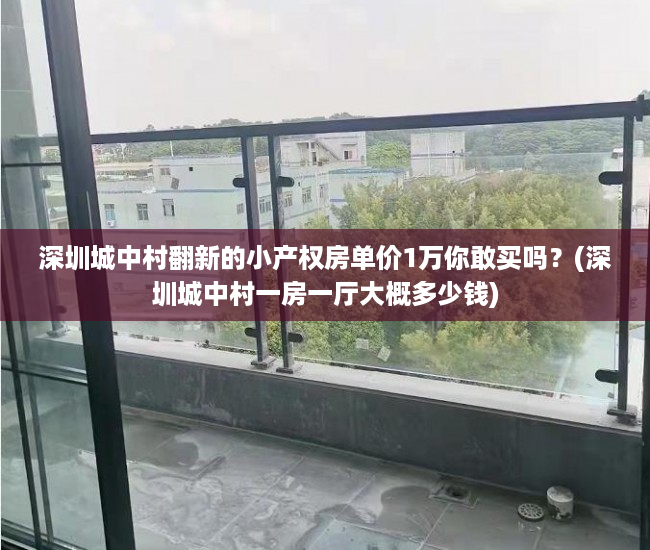 深圳城中村翻新的小产权房单价1万你敢买吗？(深圳城中村一房一厅大概多少钱)