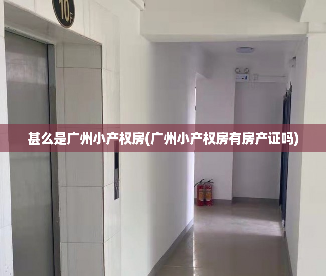 甚么是广州小产权房(广州小产权房有房产证吗)