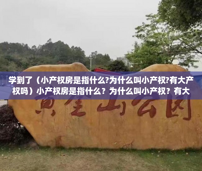 学到了（小产权房是指什么?为什么叫小产权?有大产权吗）小产权房是指什么？为什么叫小产权？有大产权吗？，什么叫小产权房什么又是大产权房，