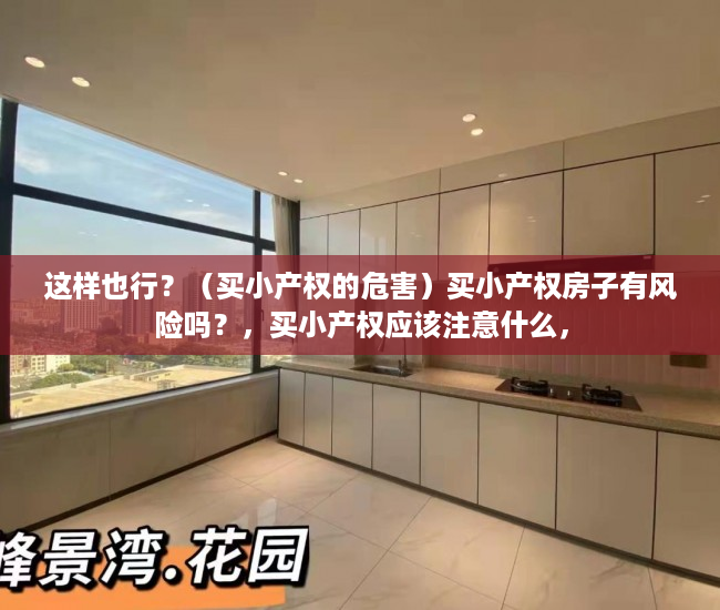 这样也行？（买小产权的危害）买小产权房子有风险吗？，买小产权应该注意什么，