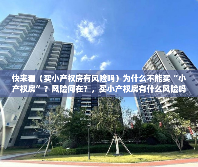 快来看（买小产权房有风险吗）为什么不能买“小产权房”？风险何在？，买小产权房有什么风险吗，