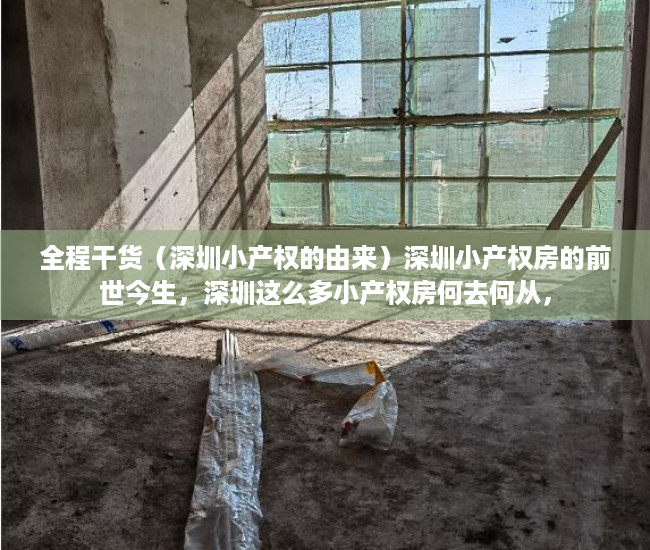 全程干货（深圳小产权的由来）深圳小产权房的前世今生，深圳这么多小产权房何去何从，