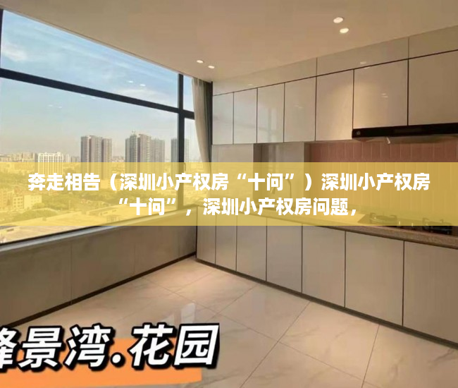 奔走相告（深圳小产权房“十问”）深圳小产权房“十问”，深圳小产权房问题，