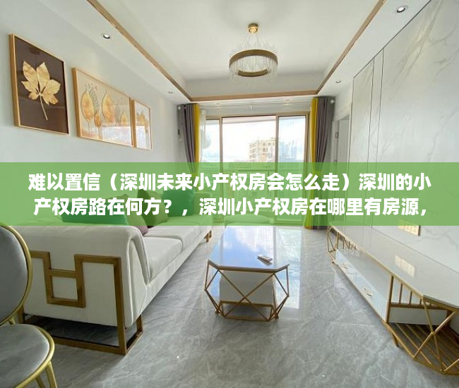 难以置信（深圳未来小产权房会怎么走）深圳的小产权房路在何方？，深圳小产权房在哪里有房源，