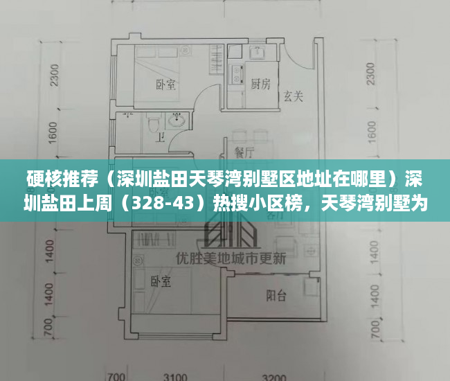 硬核推荐（深圳盐田天琴湾别墅区地址在哪里）深圳盐田上周（328-43）热搜小区榜，天琴湾别墅为最受欢迎小区，深圳盐田天琴湾别墅区地址电话，