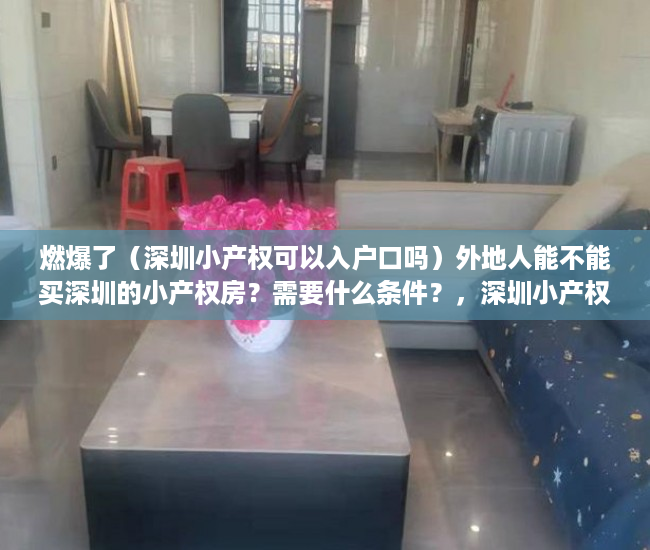 燃爆了（深圳小产权可以入户口吗）外地人能不能买深圳的小产权房？需要什么条件？，深圳小产权房能入户吗，
