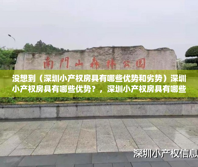 没想到（深圳小产权房具有哪些优势和劣势）深圳小产权房具有哪些优势？，深圳小产权房具有哪些优势条件，