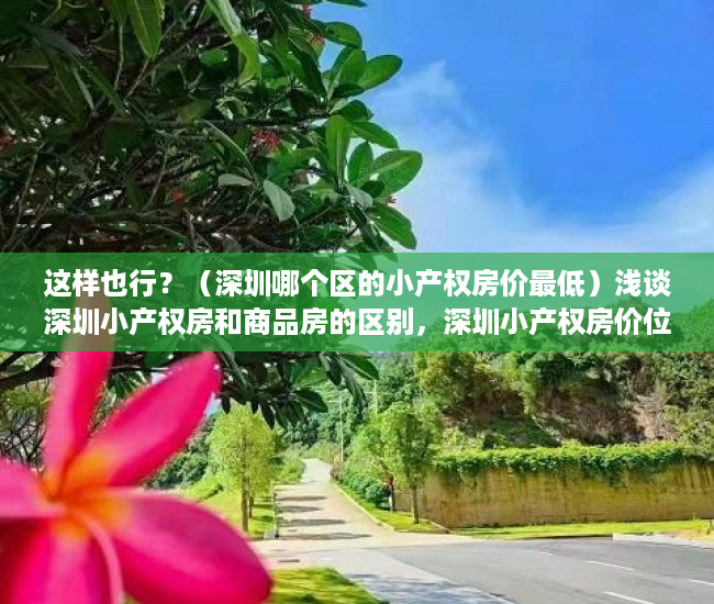 这样也行？（深圳哪个区的小产权房价最低）浅谈深圳小产权房和商品房的区别，深圳小产权房价位，