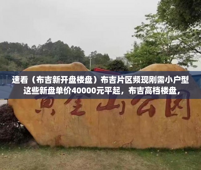 速看（布吉新开盘楼盘）布吉片区频现刚需小户型 这些新盘单价40000元平起，布吉高档楼盘，