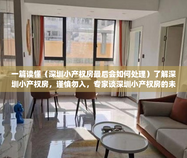 一篇读懂（深圳小产权房最后会如何处理）了解深圳小产权房，谨慎勿入，专家谈深圳小产权房的未来，