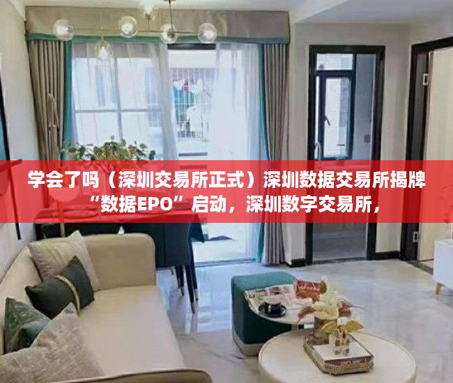 学会了吗（深圳交易所正式）深圳数据交易所揭牌“数据EPO”启动，深圳数字交易所，