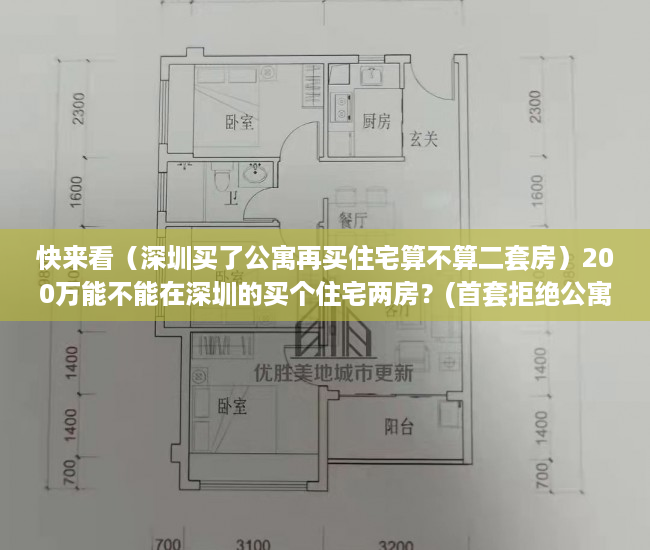 快来看（深圳买了公寓再买住宅算不算二套房）200万能不能在深圳的买个住宅两房？(首套拒绝公寓，永不考虑小产权)？，深圳买公寓要求，