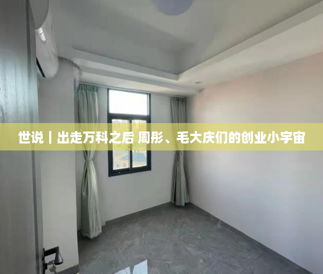 世说｜出走万科之后 周彤、毛大庆们的创业小宇宙