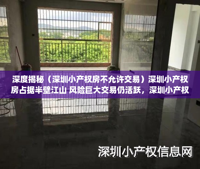 深度揭秘（深圳小产权房不允许交易）深圳小产权房占据半壁江山 风险巨大交易仍活跃，深圳小产权房购买的风险，
