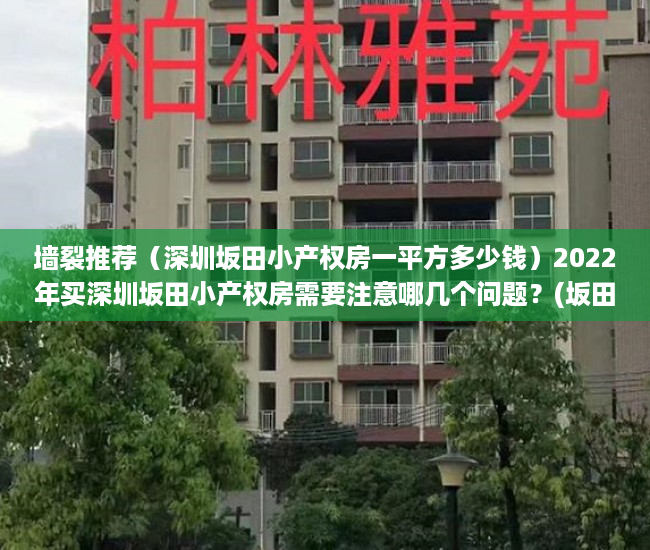 墙裂推荐（深圳坂田小产权房一平方多少钱）2022年买深圳坂田小产权房需要注意哪几个问题？(坂田小产权房哪里较好)，坂田小产权房怎么看，