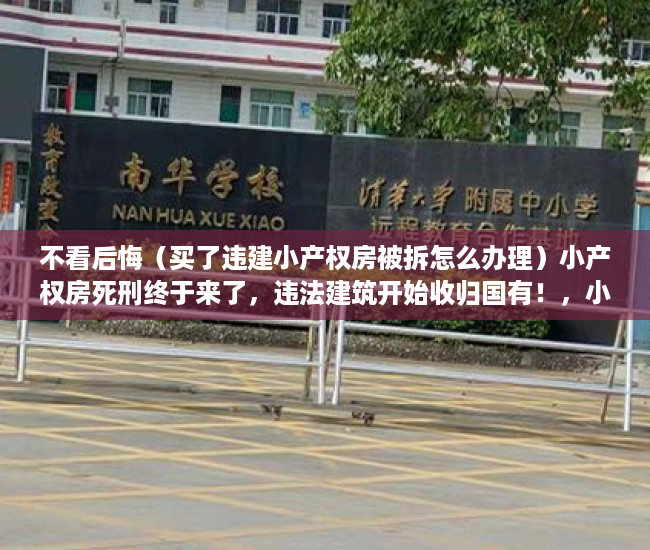 不看后悔（买了违建小产权房被拆怎么办理）小产权房死刑终于来了，违法建筑开始收归国有！，小产权违建拆除怎么办，