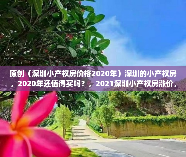 原创（深圳小产权房价格2020年）深圳的小产权房，2020年还值得买吗？，2021深圳小产权房涨价，